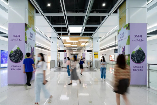 寶桑園桑果汁深圳地鐵廣告 寶桑園桑果汁深圳地鐵廣告